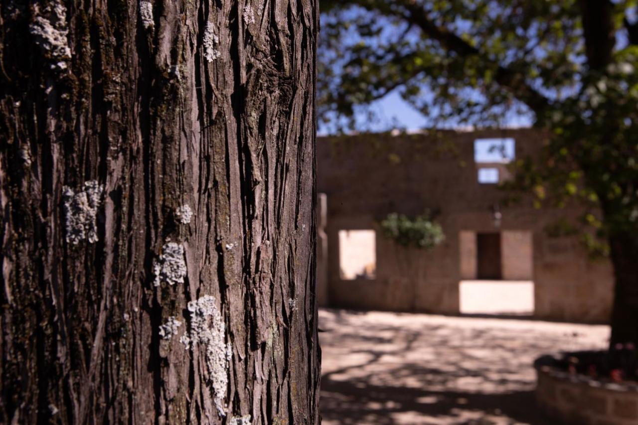 Quinta De Sao Francisco Houses 비세우 외부 사진